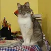 Отзыв от Галина Федотова